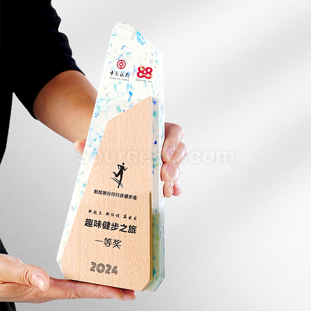Customization Environmental Protection Award Corporate Gifts