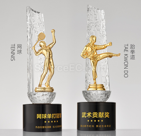 Customization Crystal trophy Corporate Gifts