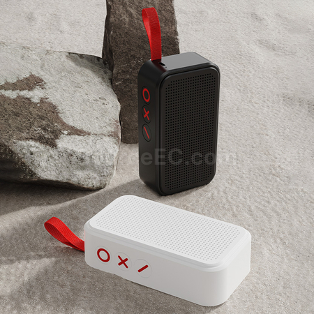 TWS Bluetooth Speaker