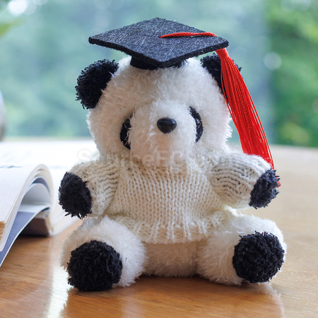 Customization Graduation Bear Keychain Corporate Gifts