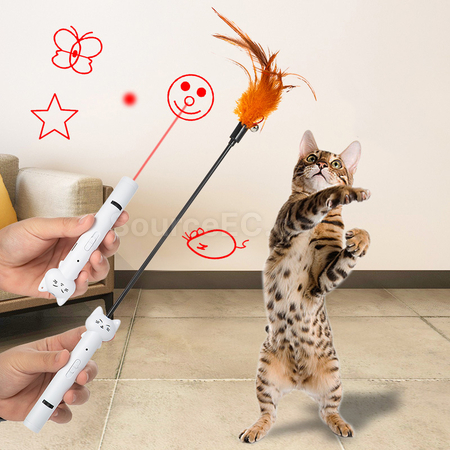 Customization Laser Pointer + Detachable Cat Teaser Corporate Gifts