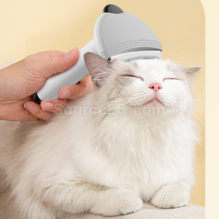 Customization 2-in-1 Pet Hair Removal and Sticky Comb Corporate Gifts