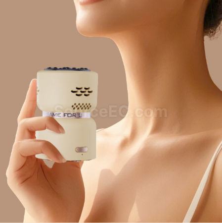 Customization Handheld Bianstone Moxibustion Beauty Instrument Corporate Gifts