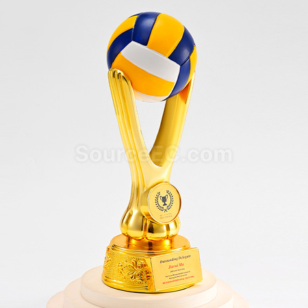 Customization Ball Trophy Corporate Gifts