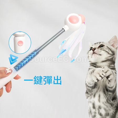 Customization Cat Teaser Corporate Gifts