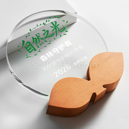 Customization Crystal Trophy Corporate Gifts