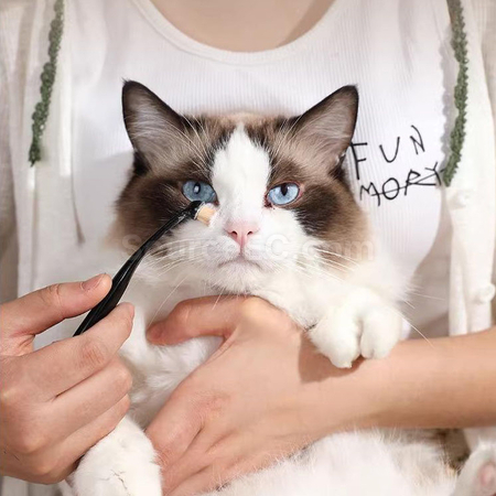 Customization Pet tear stain brush Corporate Gifts