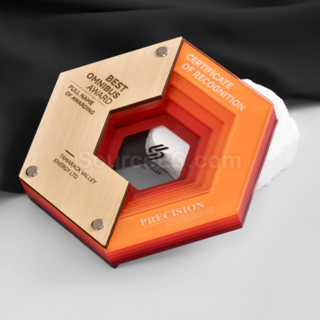 Customization Multi-layer Acrylic Wooden Trophy Corporate Gifts