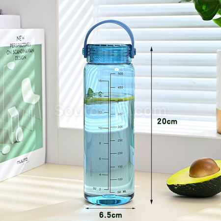 Customization 500ML Promotional Bottle Corporate Gifts