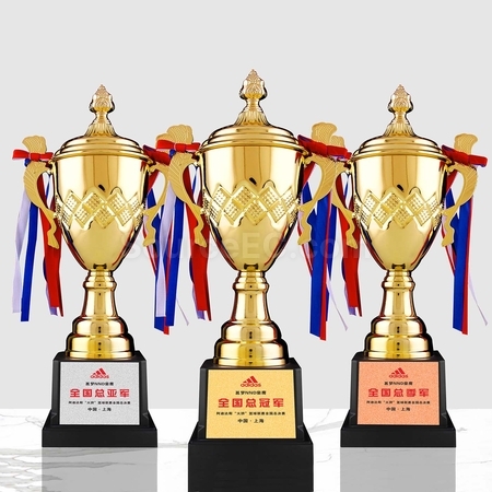 Customization Trophy Cup Corporate Gifts