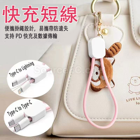 Customization Phone Lanyard Charging Cable Corporate Gifts