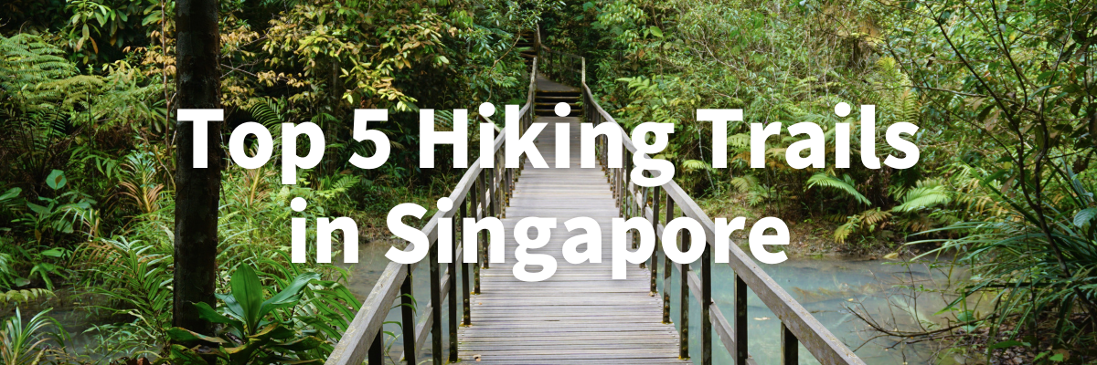 Hiking Singapore