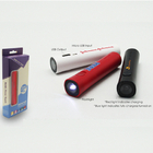 FLASHLIGHT Cell Power Bank 2600mAh