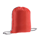 Multipurpose Bag