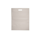 Non-Woven Bag