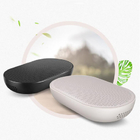 Ionic Air Purifier for Car