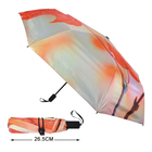 Folding Umbrella