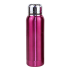 650ML Trendy Vacuum Flask