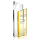Crystal Trophy 