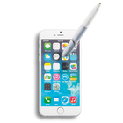 Pen