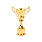 Metal Trophy