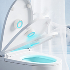Toilet Automatic Disinfection Device