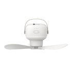 Outdoor/Home Small Ceiling Fan