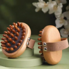 Meridian brush massager