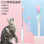 Cat Teaser